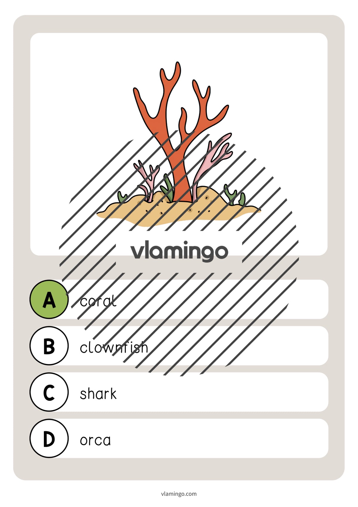 de englisch in the sea vocabulary quiz 042
