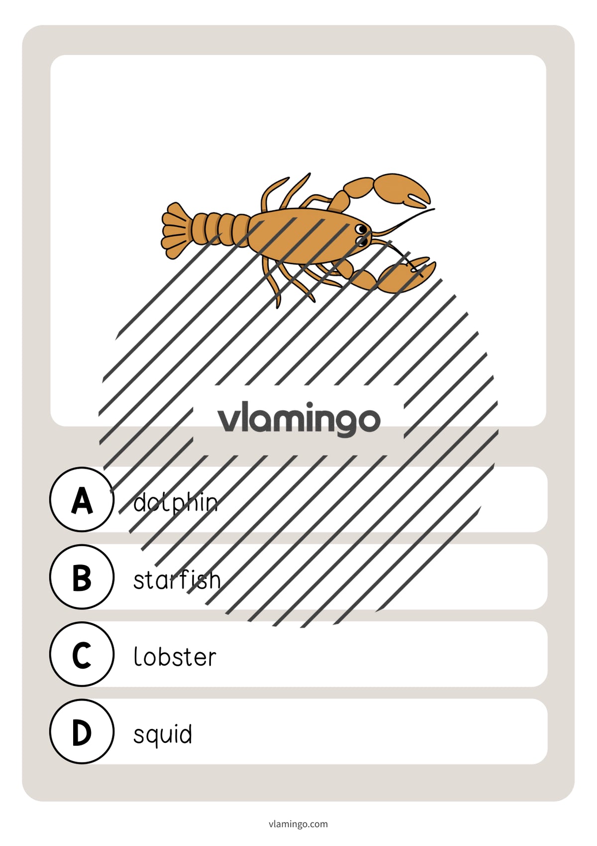de englisch in the sea vocabulary quiz 043