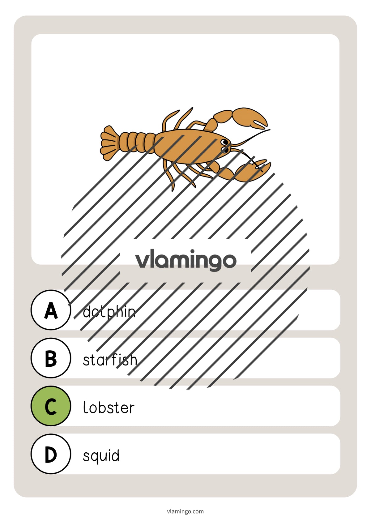 de englisch in the sea vocabulary quiz 044