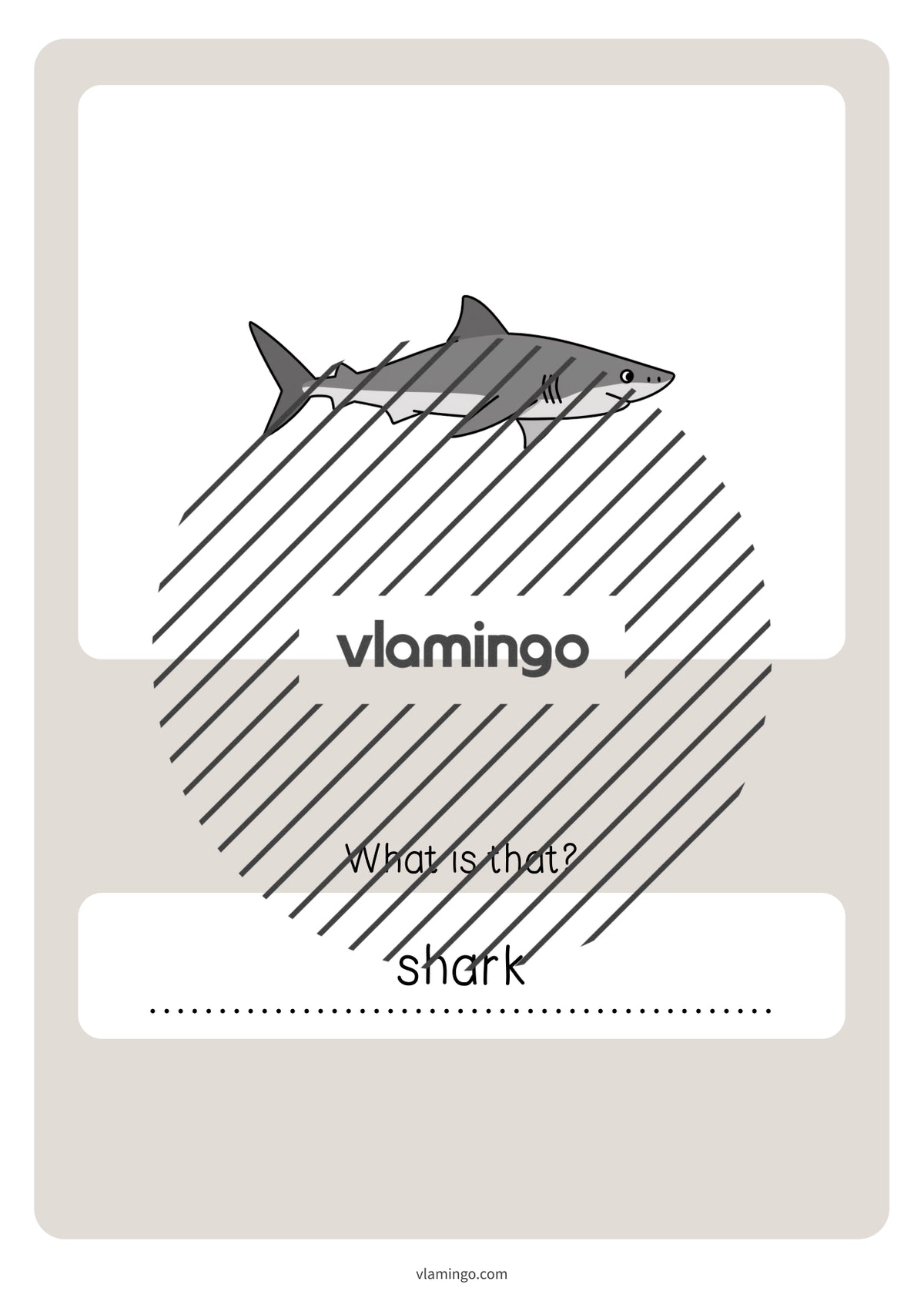 de englisch in the sea vocabulary quiz 047