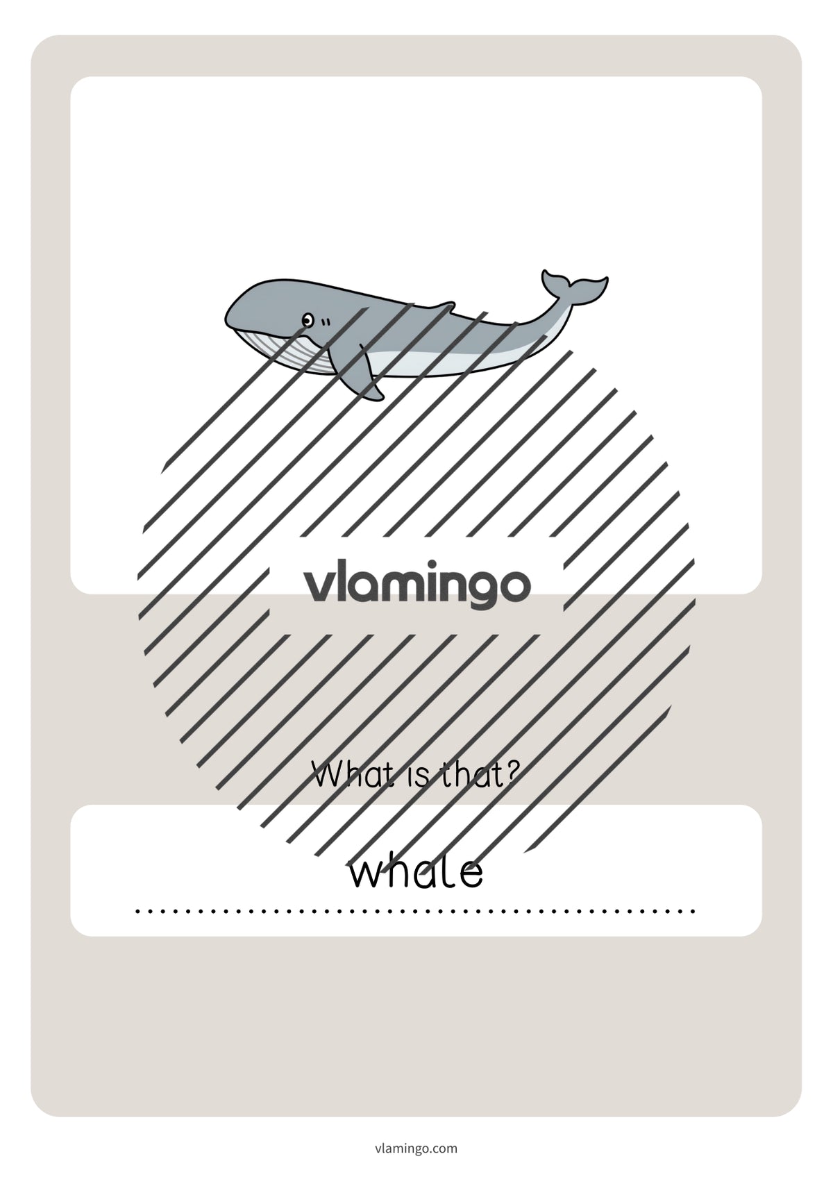 de englisch in the sea vocabulary quiz 051