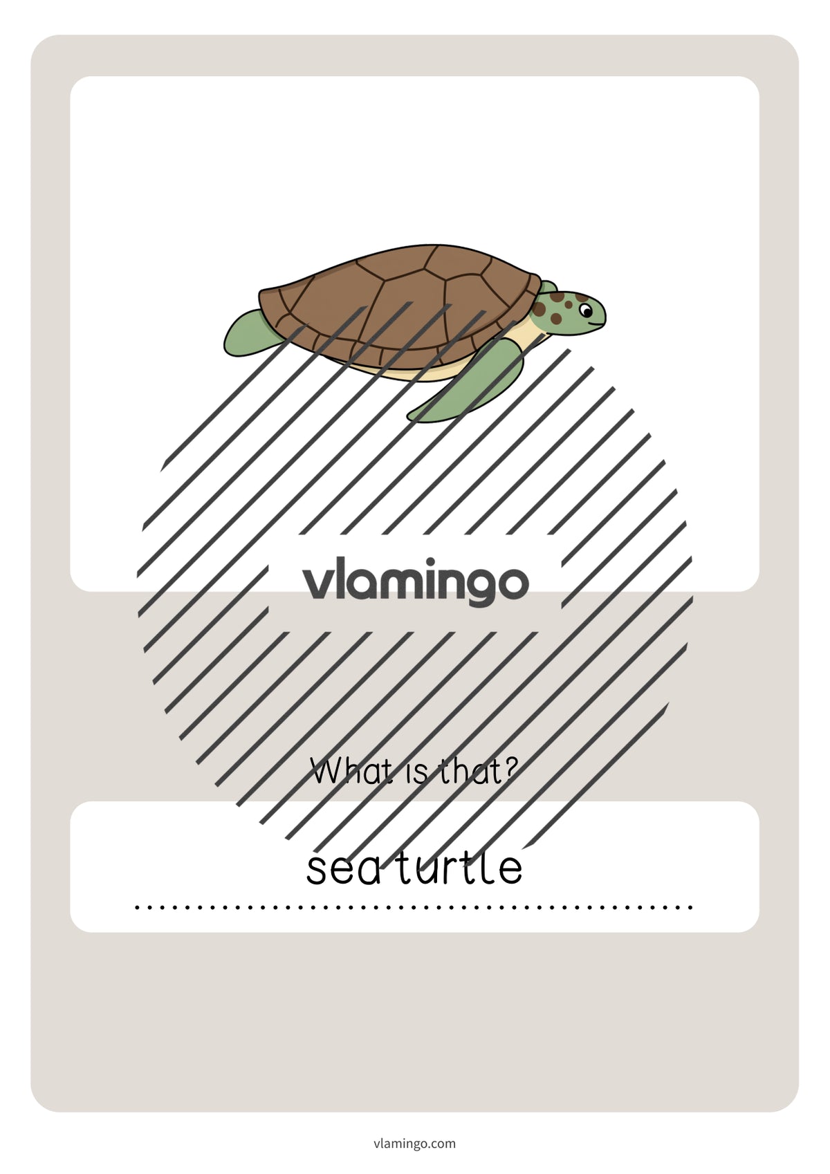 de englisch in the sea vocabulary quiz 055