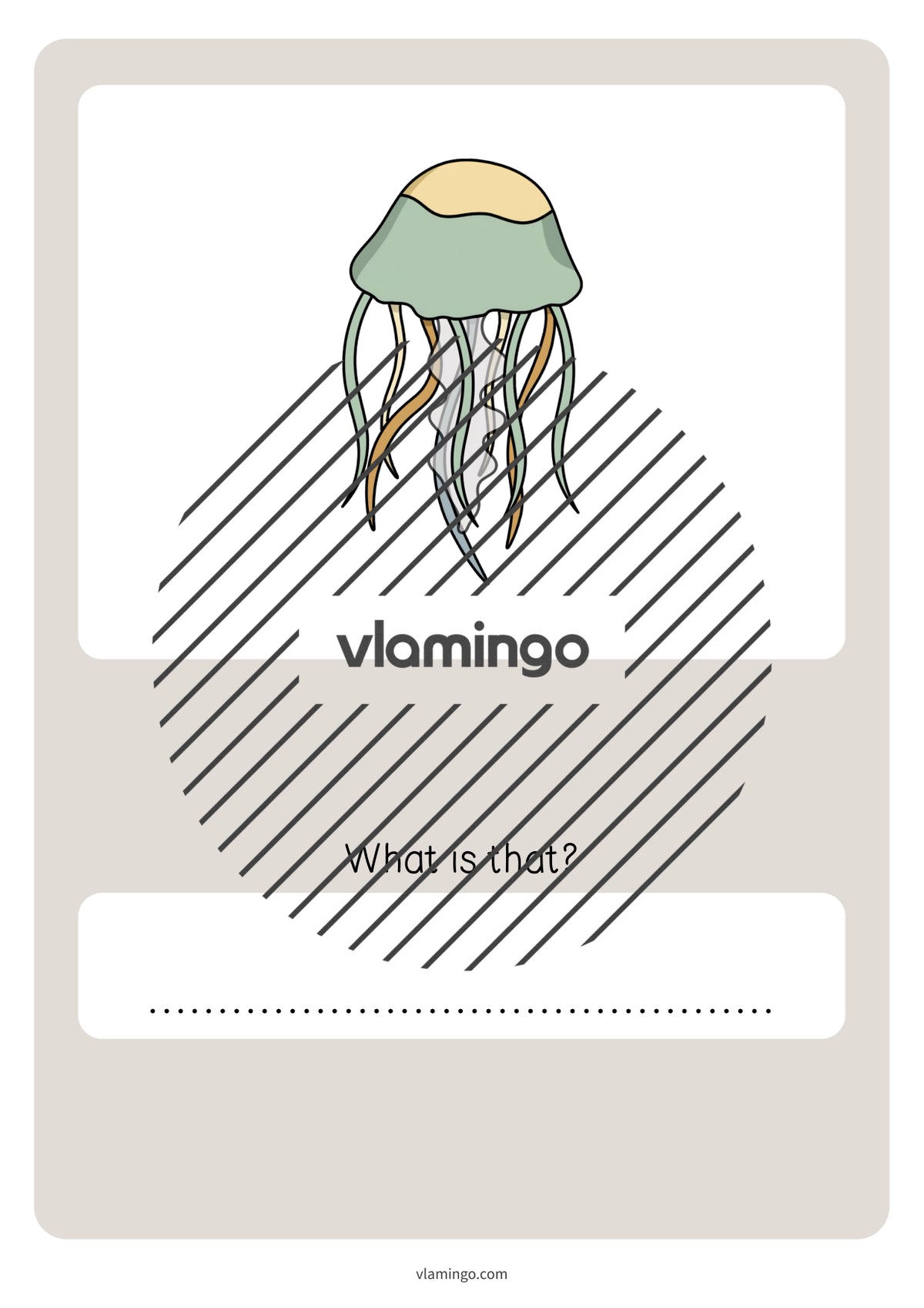 de englisch in the sea vocabulary quiz 056