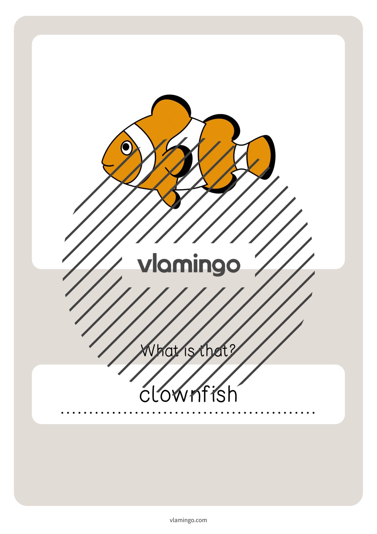 de englisch in the sea vocabulary quiz 063
