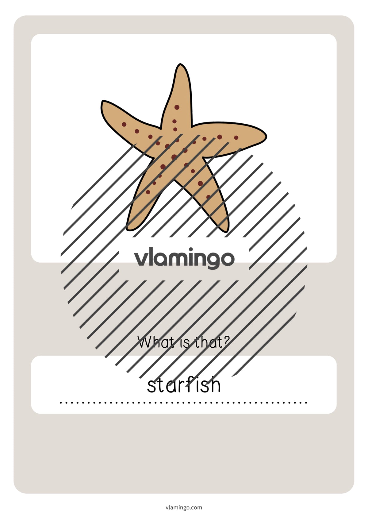 de englisch in the sea vocabulary quiz 065