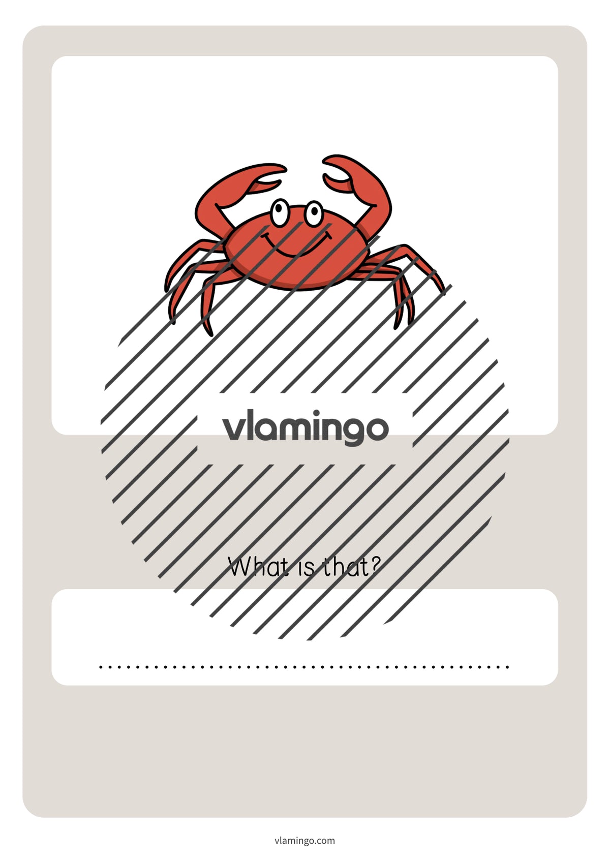 de englisch in the sea vocabulary quiz 074