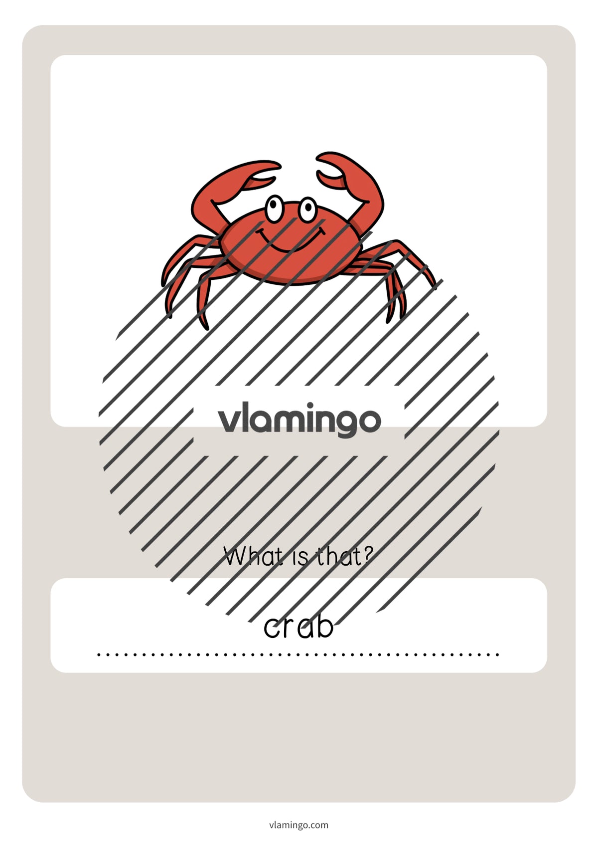 de englisch in the sea vocabulary quiz 075