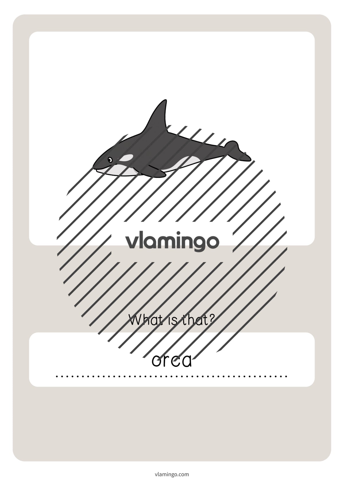 de englisch in the sea vocabulary quiz 077