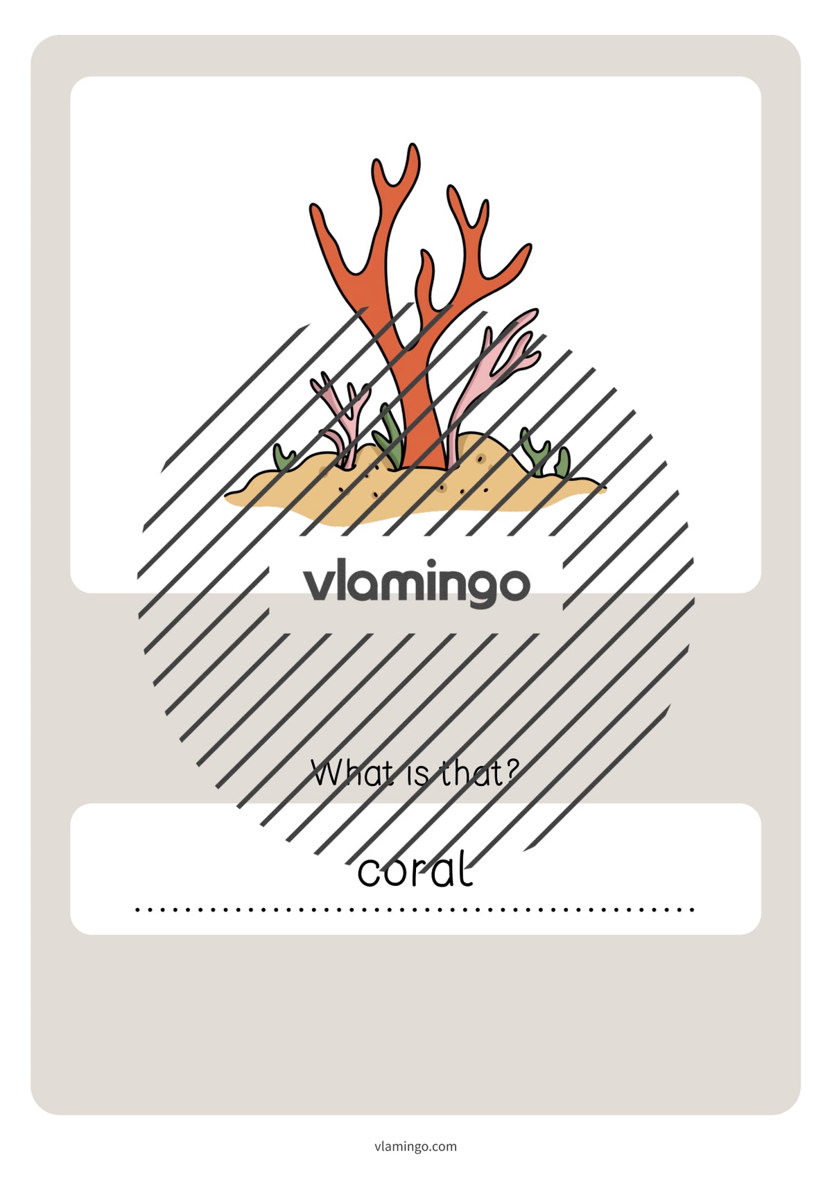 de englisch in the sea vocabulary quiz 083