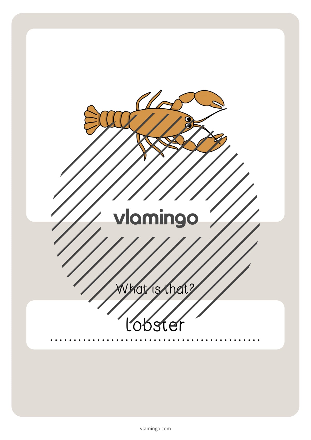 de englisch in the sea vocabulary quiz 085
