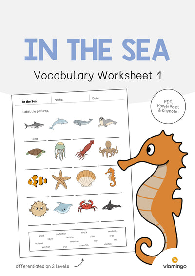 In the Sea / Im Meer: Vocabulary Worksheet 1 (Englisch)