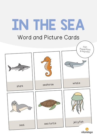 In the Sea / Im Meer: Word and Picture Cards (Englisch)