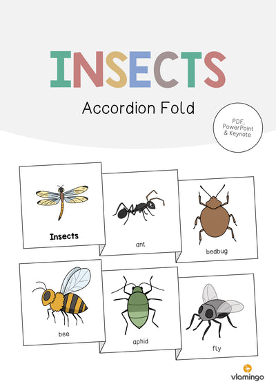 Insects / Insekten: Accordion Fold (Englisch)