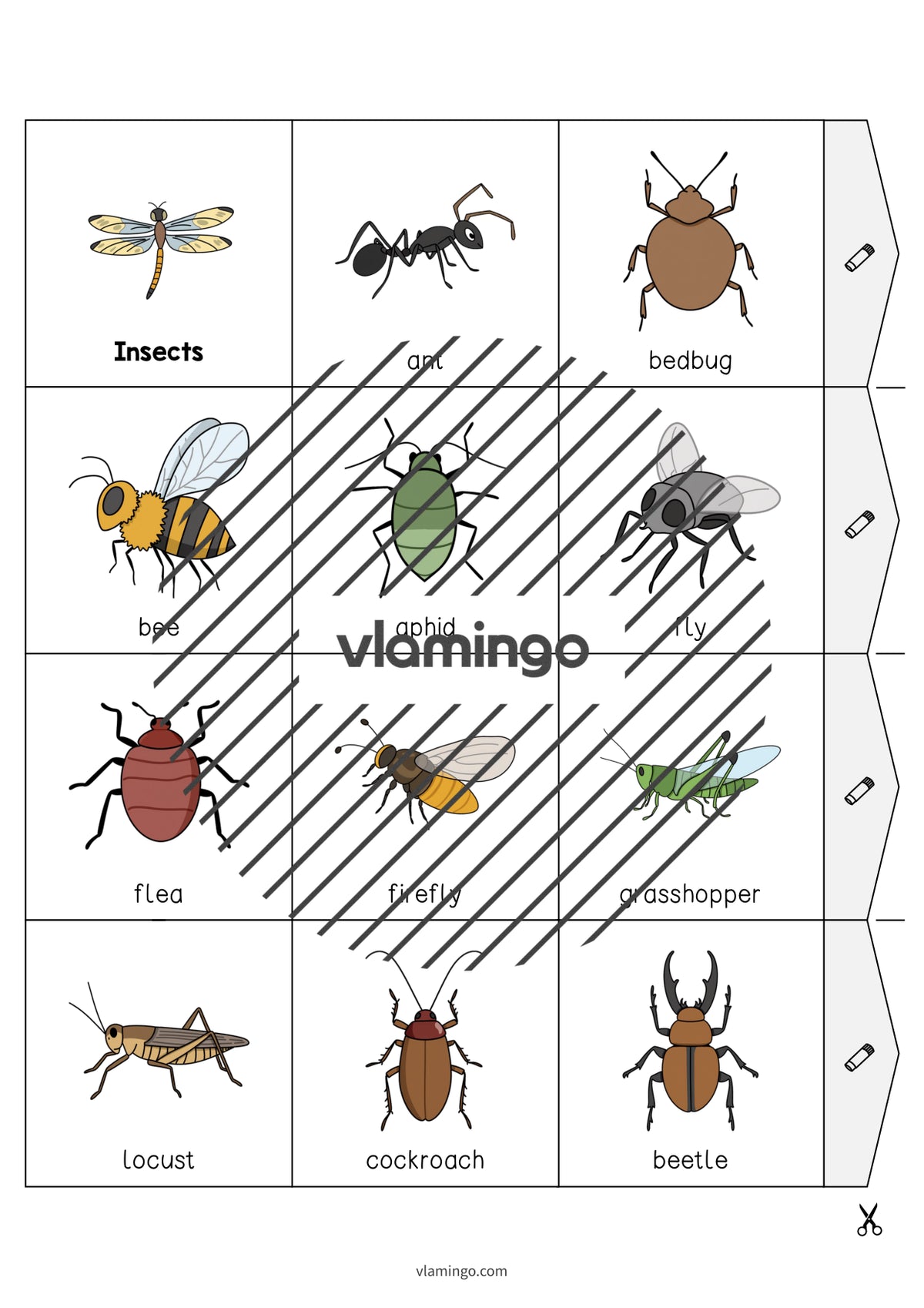 de englisch insects accordion fold 014