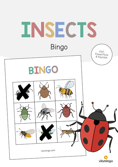 Insects / Insekten: Bingo (Englisch)