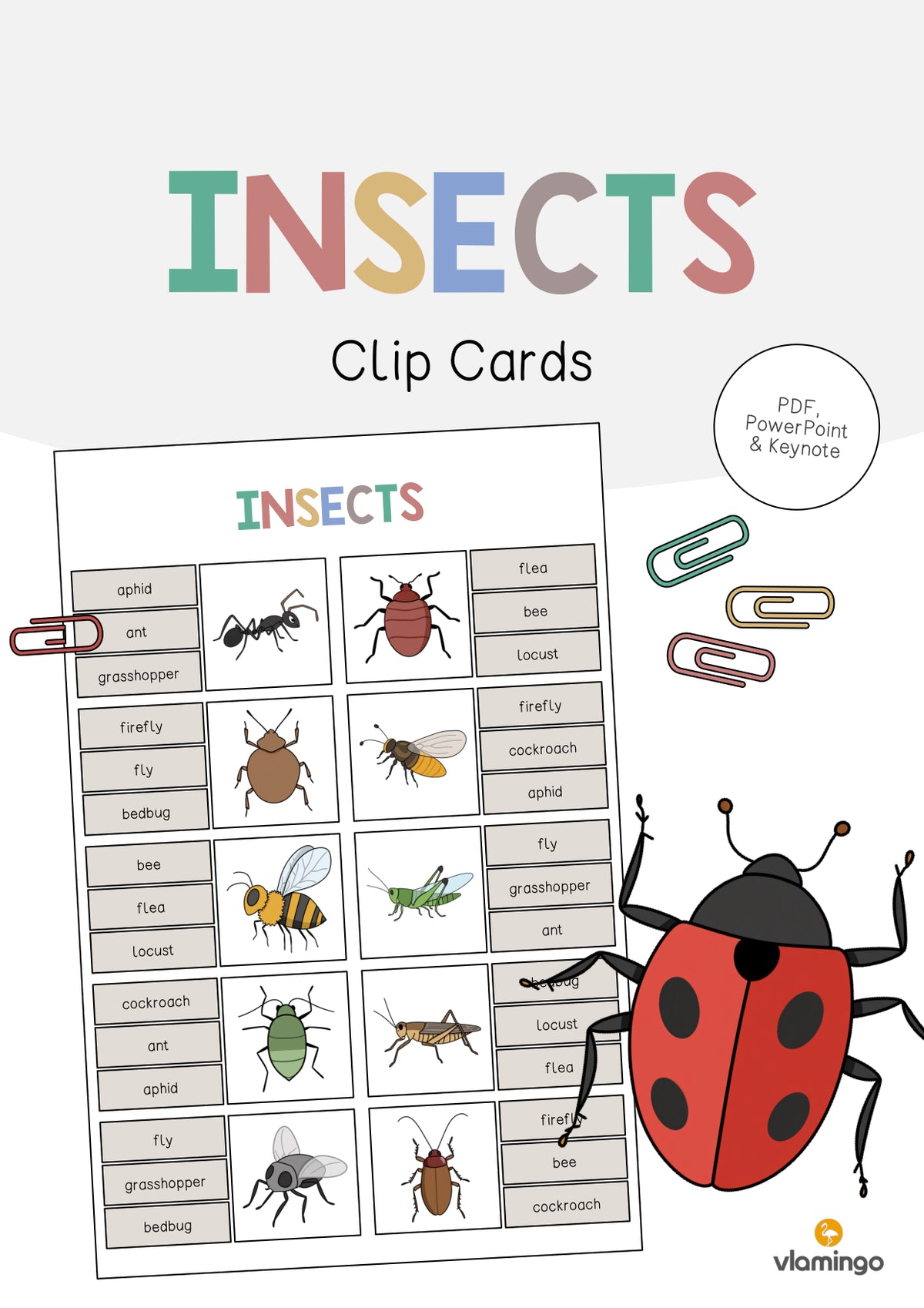 de englisch insects clip cards 001