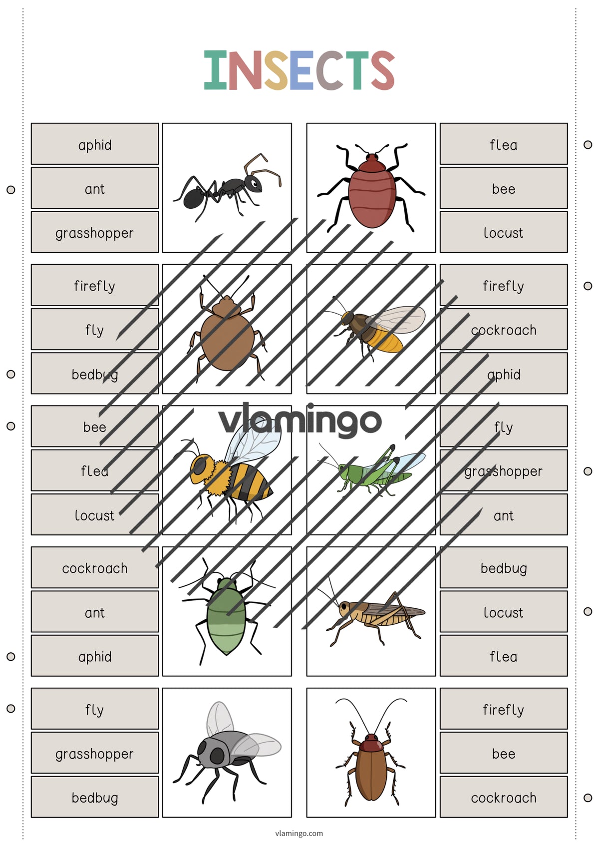 de englisch insects clip cards 003
