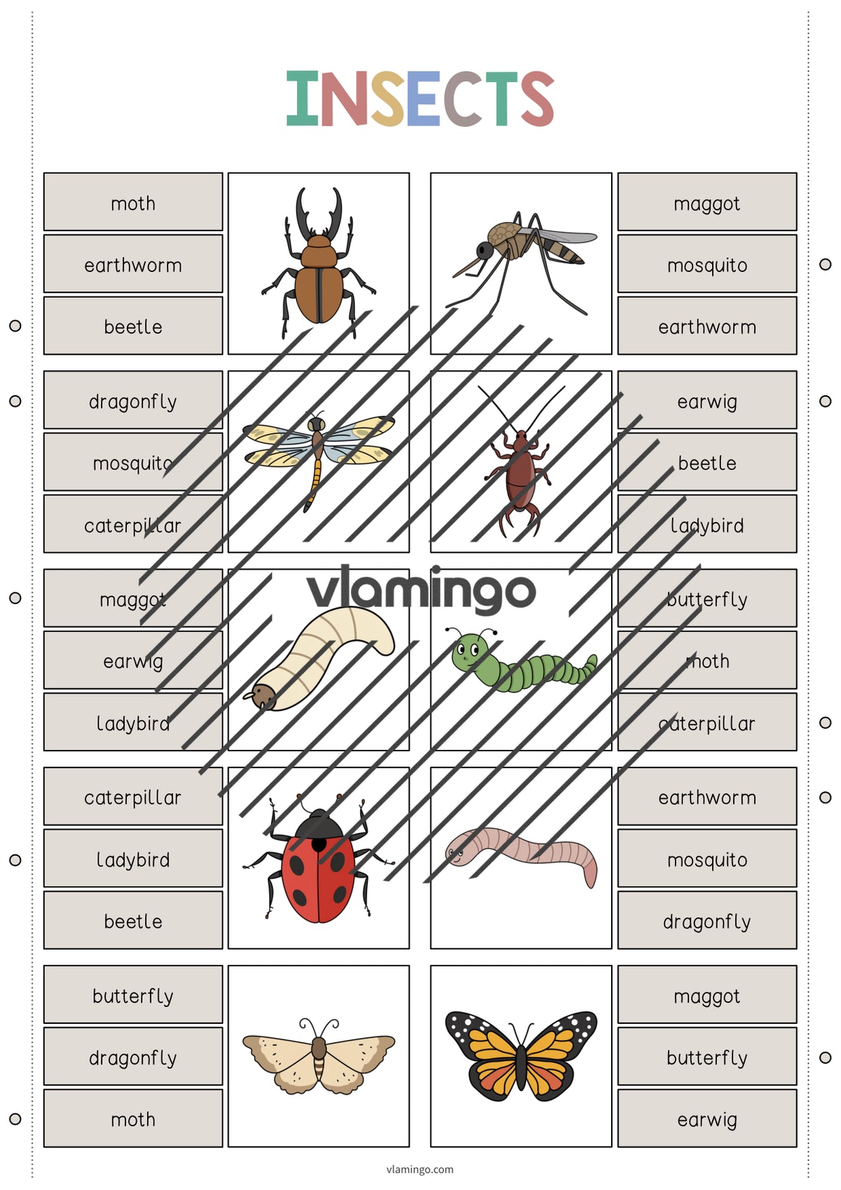 de englisch insects clip cards 004