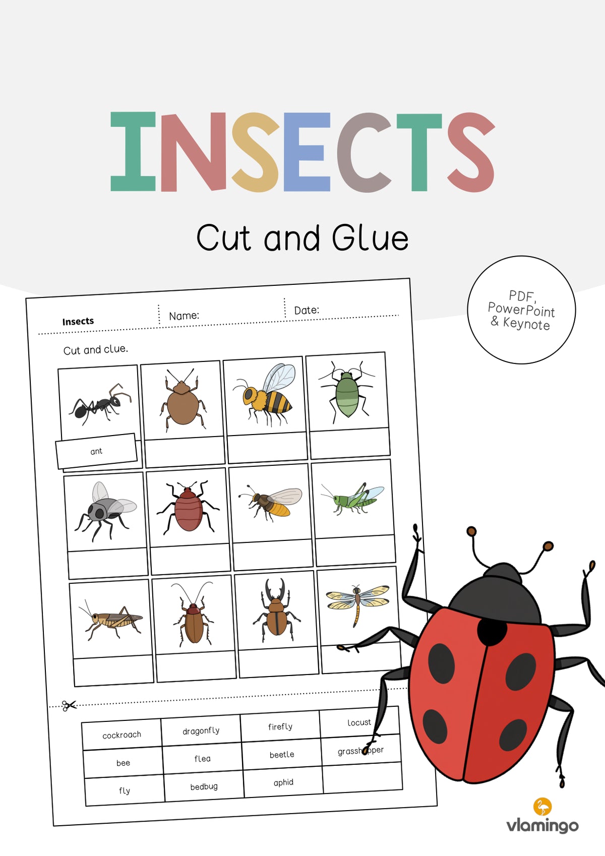 de englisch insects cut and glue 001