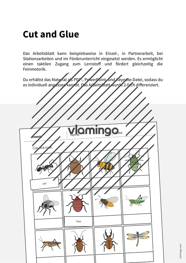 de englisch insects cut and glue 002