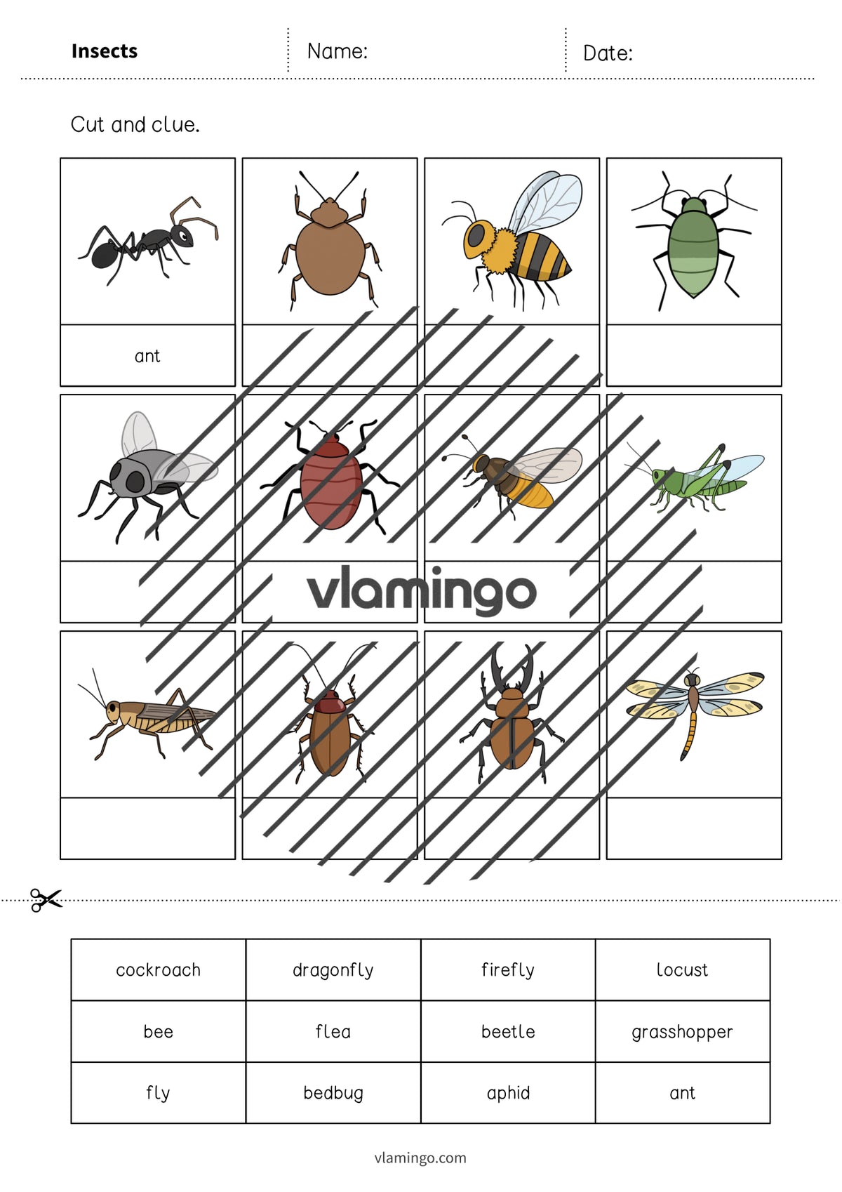 de englisch insects cut and glue 003