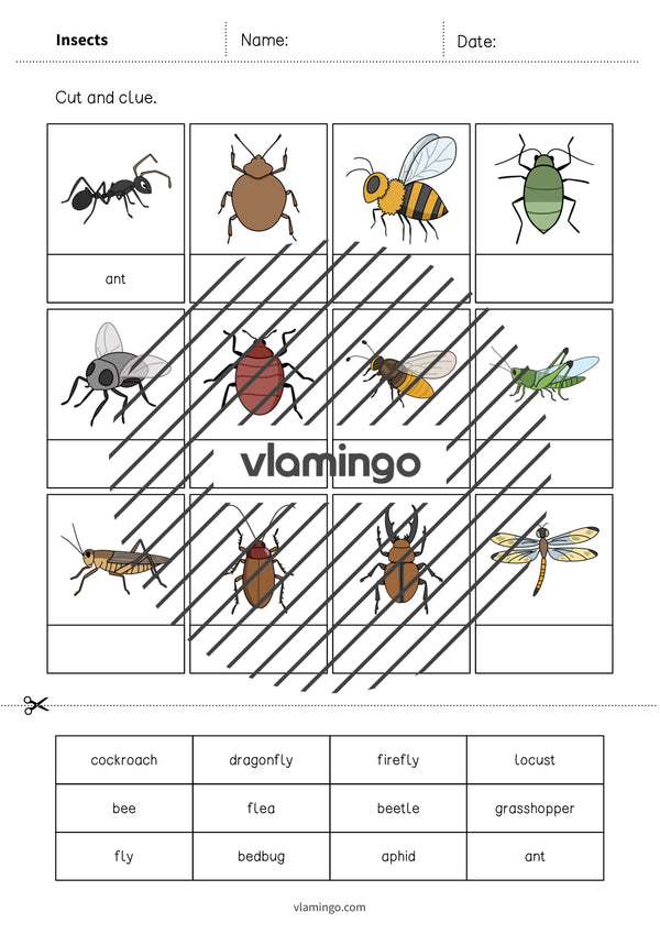 de englisch insects cut and glue 003