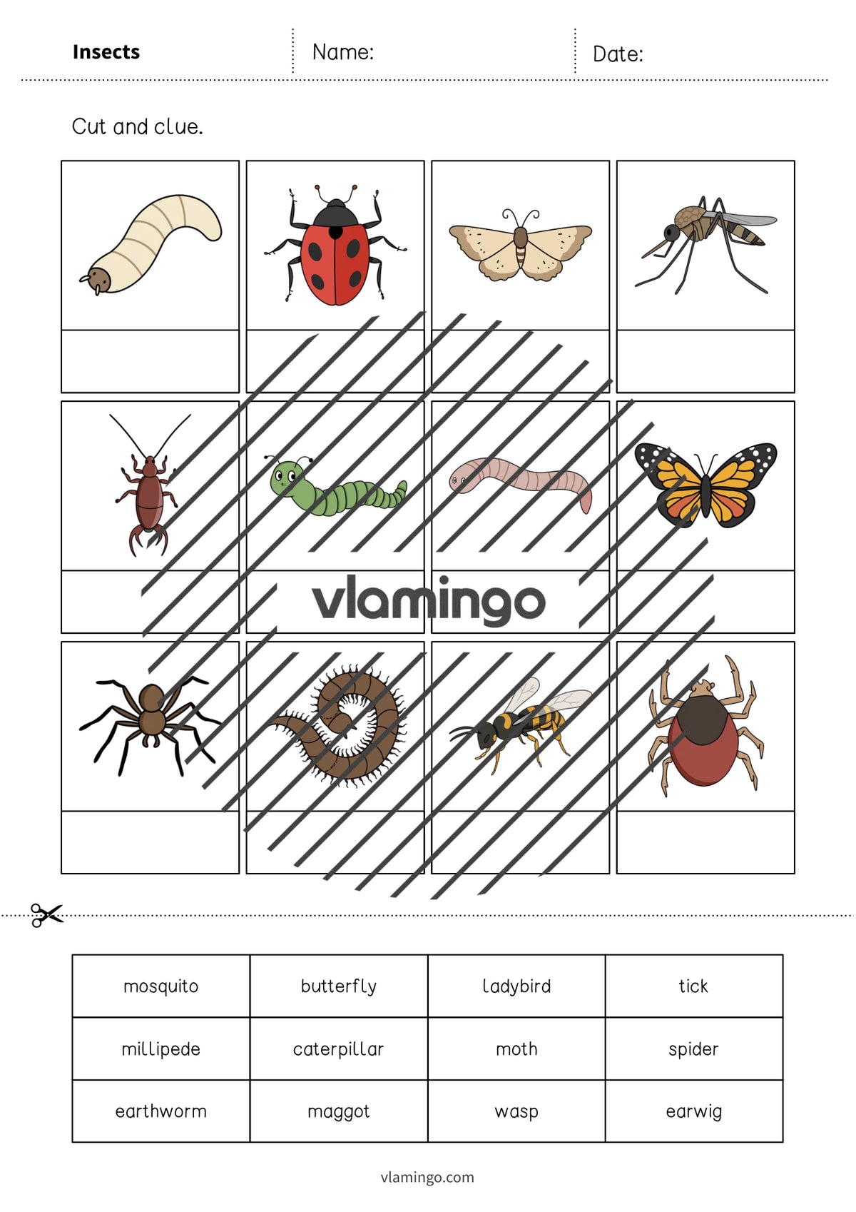 de englisch insects cut and glue 004