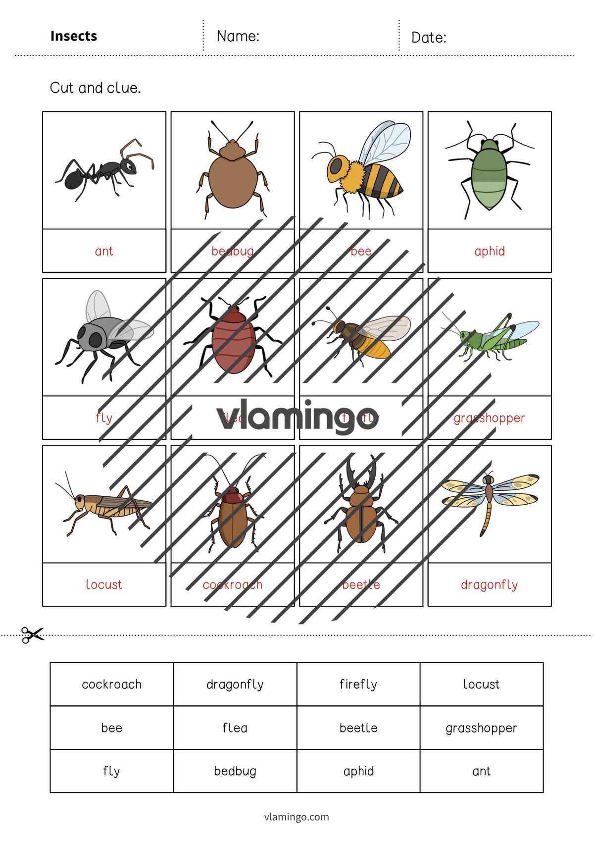 de englisch insects cut and glue 006