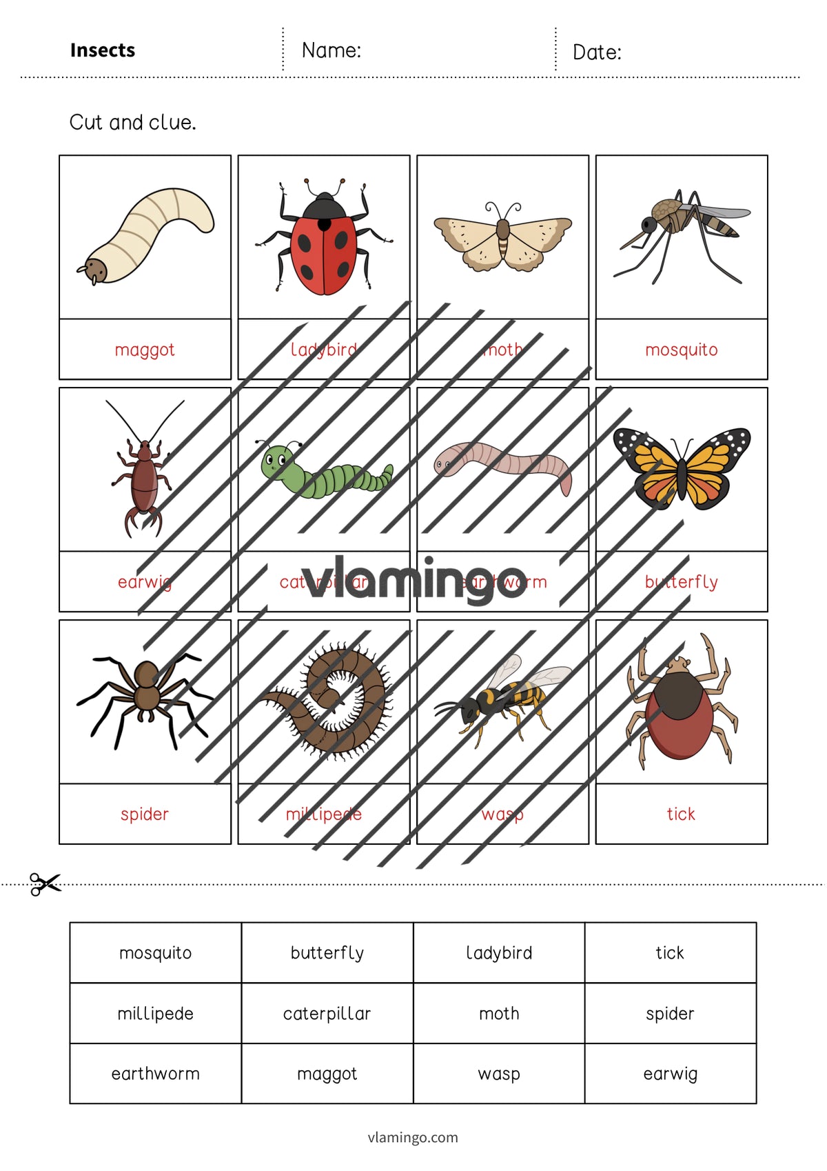 de englisch insects cut and glue 007