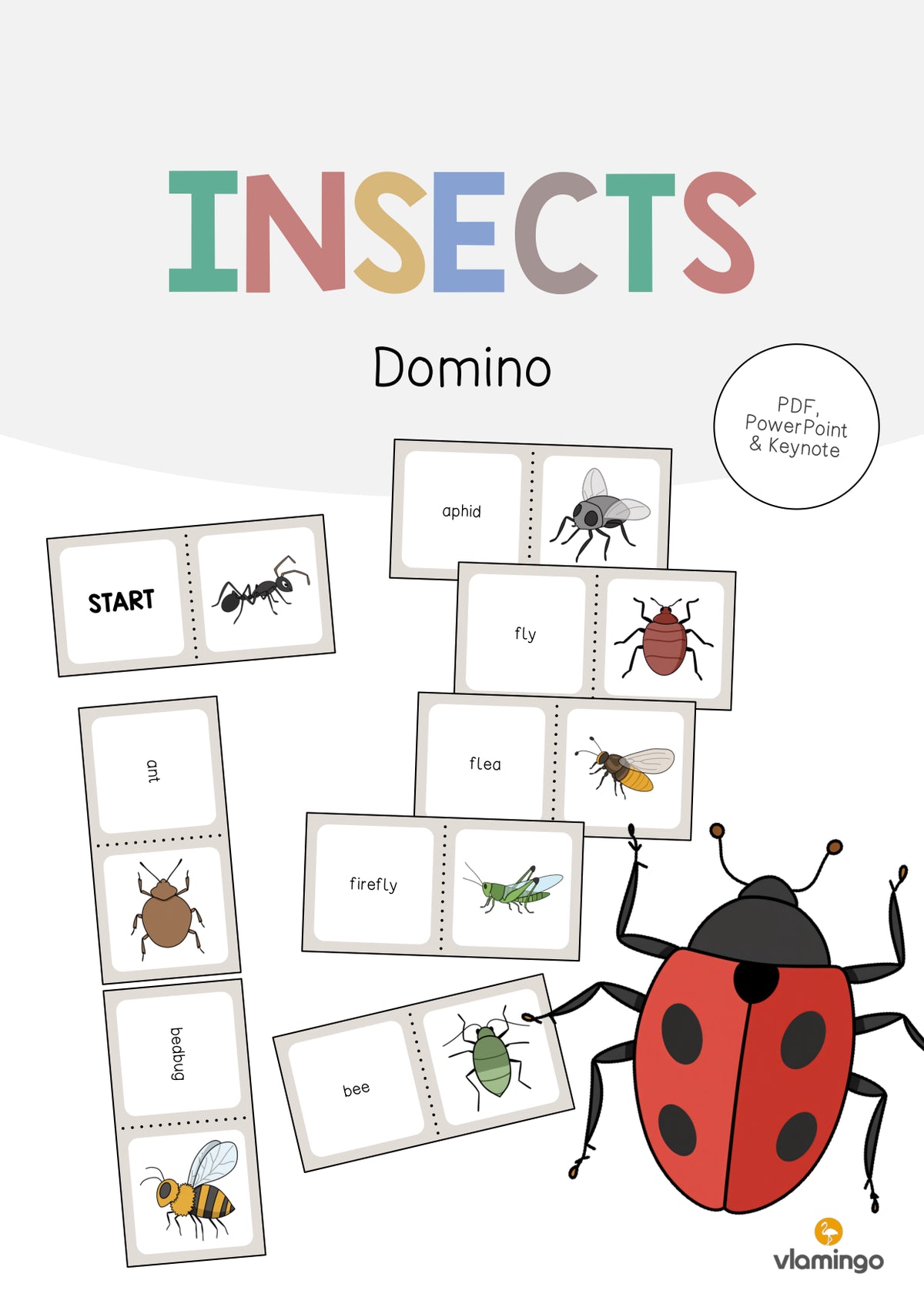 de englisch insects domino 001