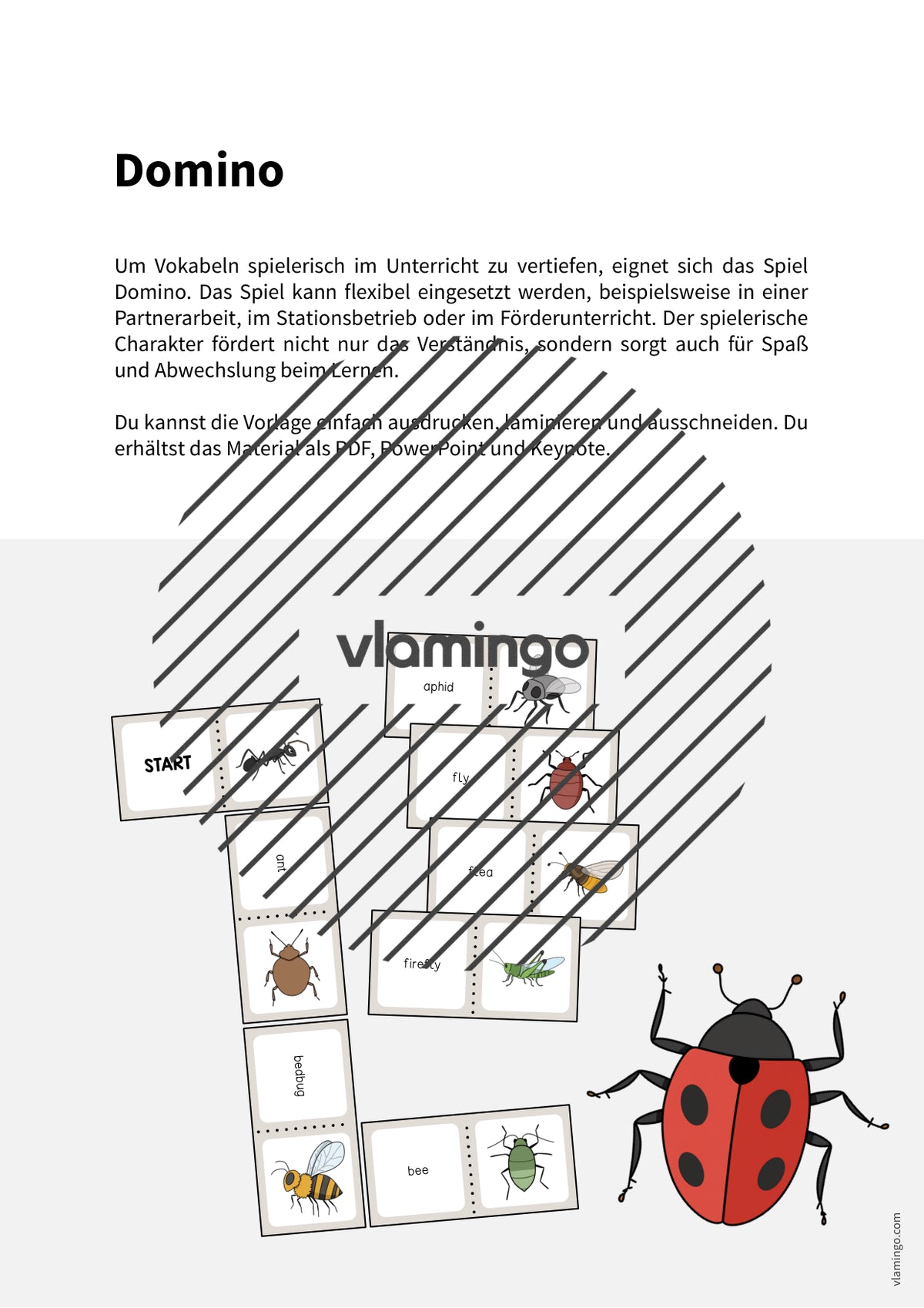 de englisch insects domino 002
