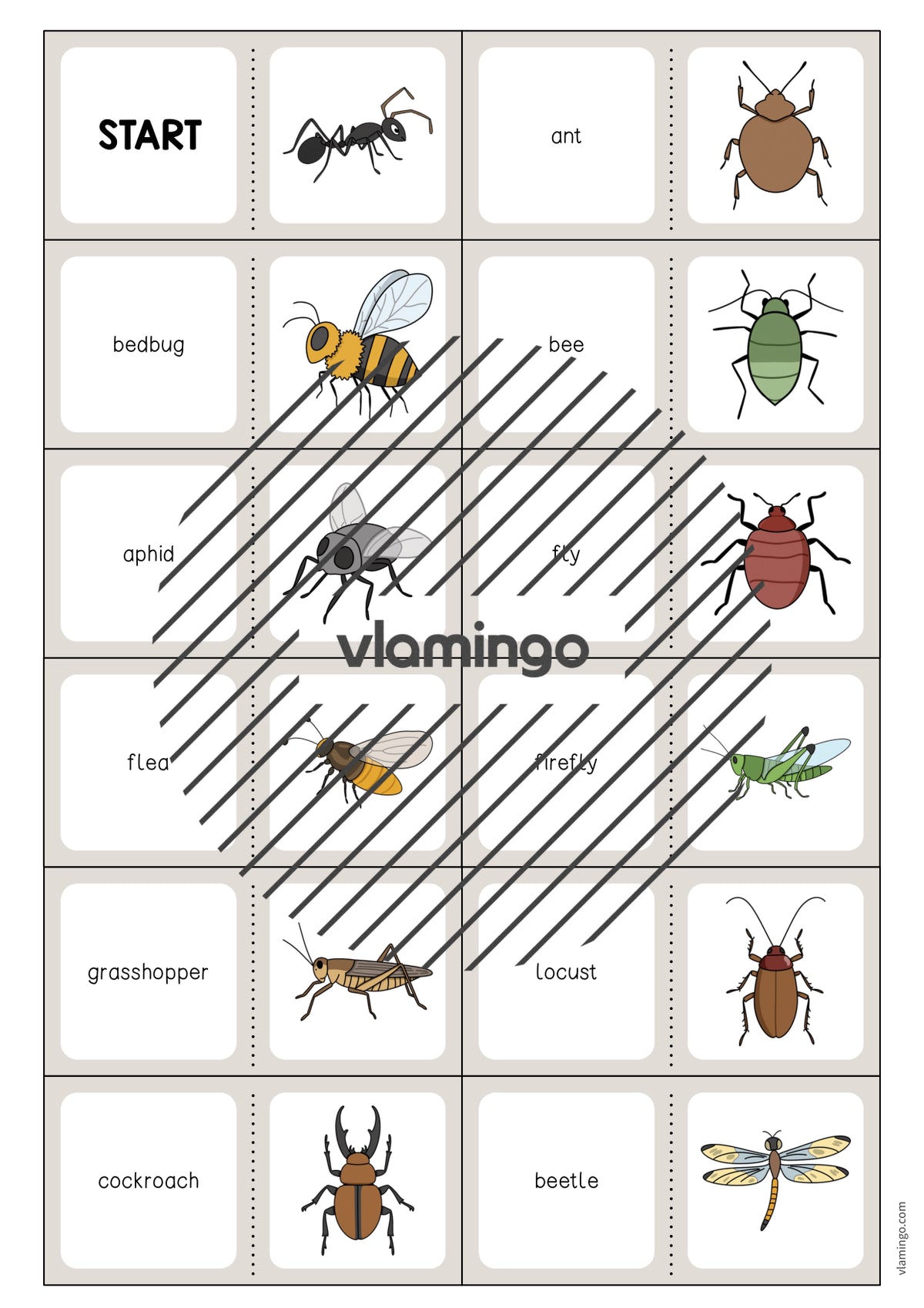de englisch insects domino 003