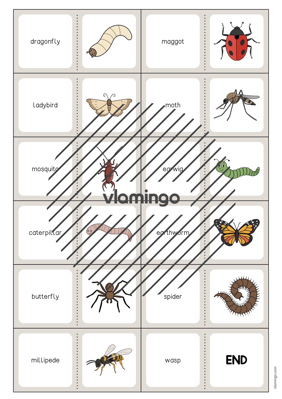 de englisch insects domino 004