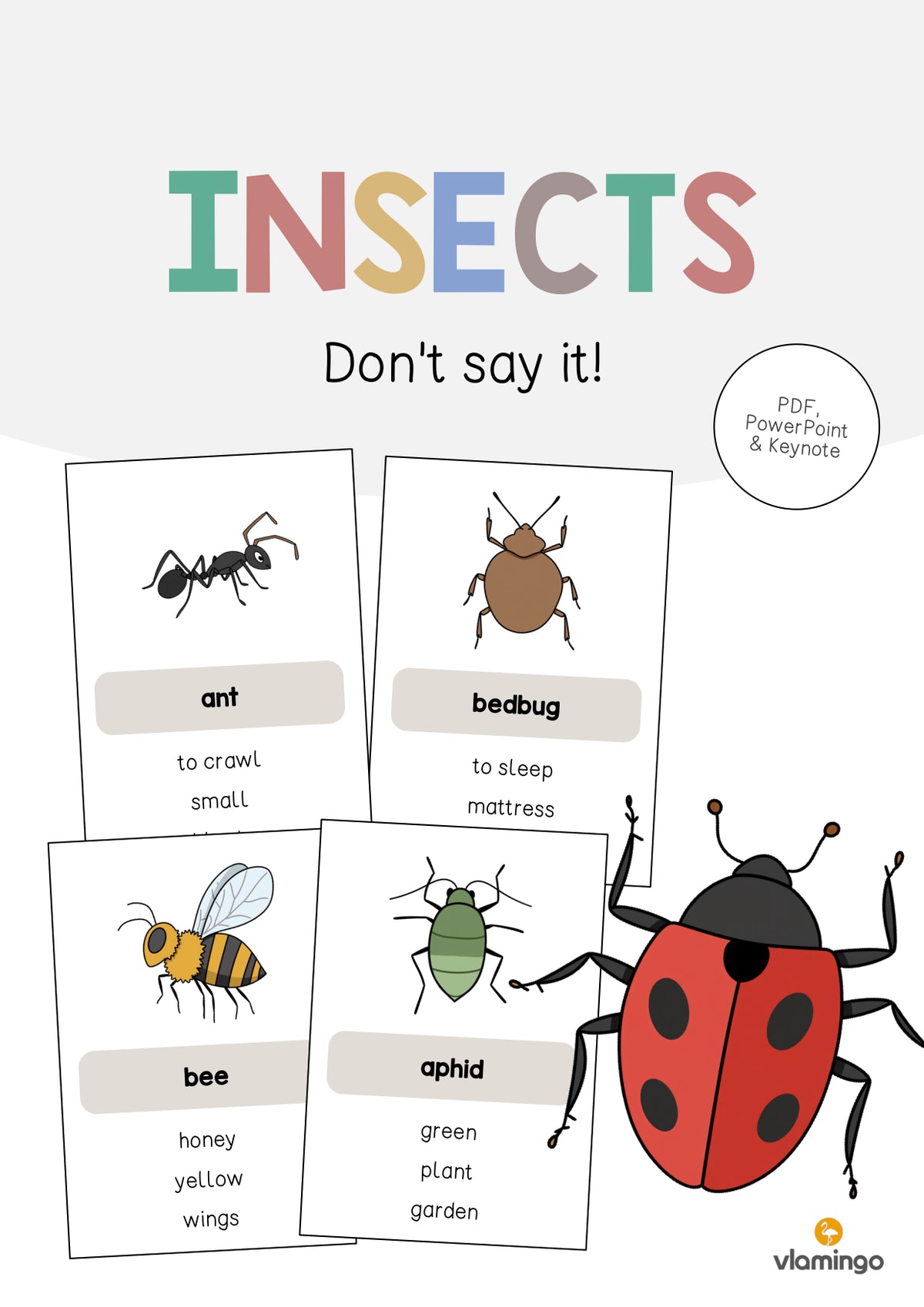 de englisch insects dont say it 001