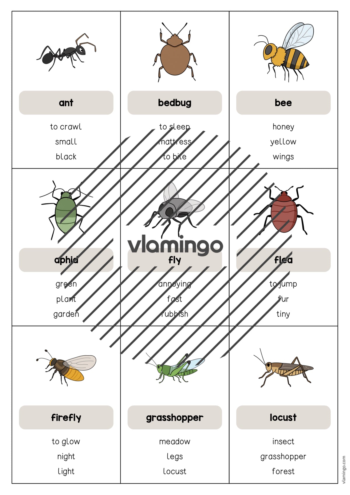 de englisch insects dont say it 003