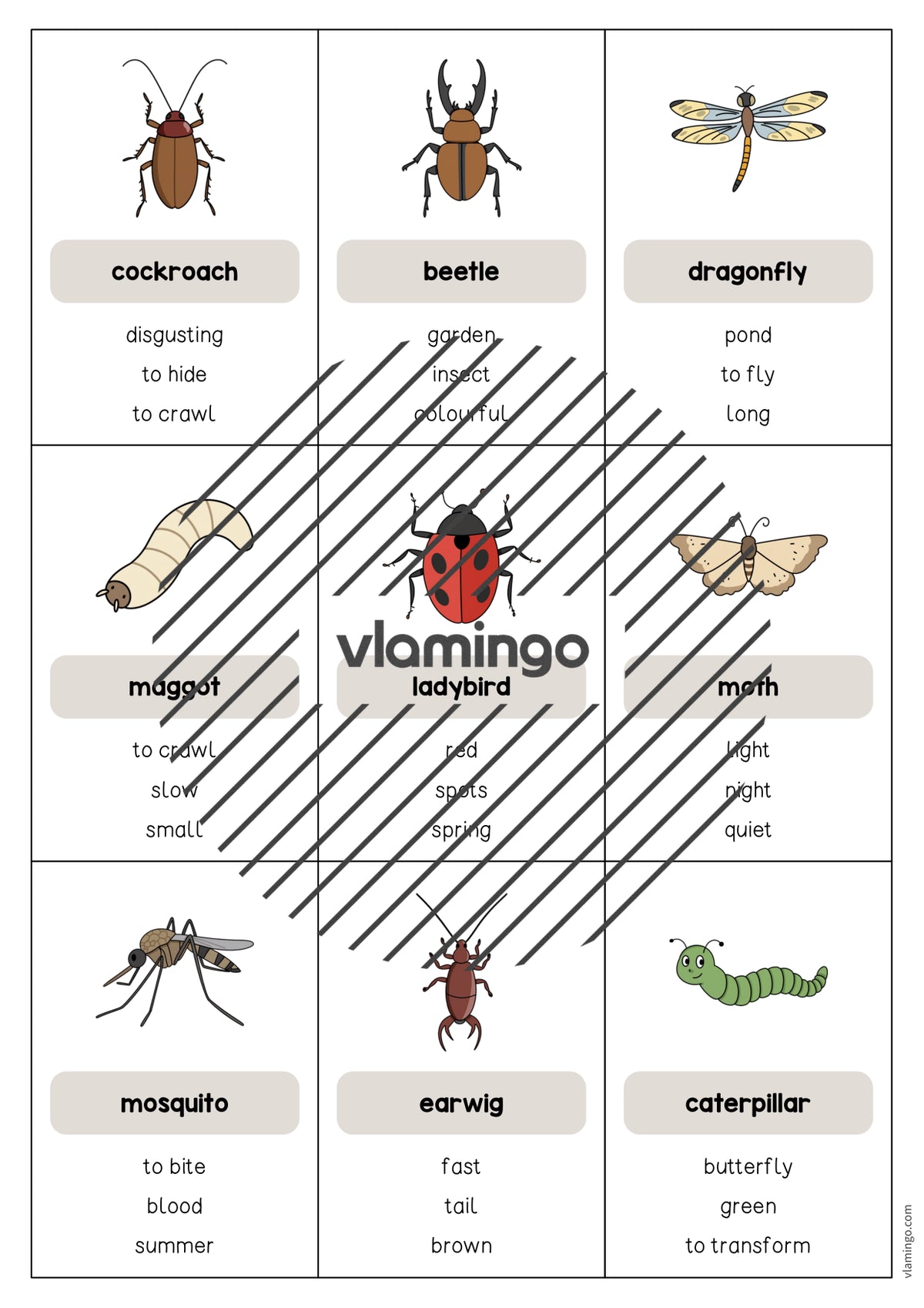 de englisch insects dont say it 004
