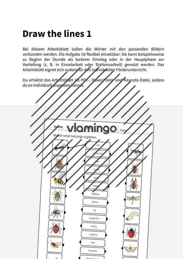de englisch insects draw the lines 1 002