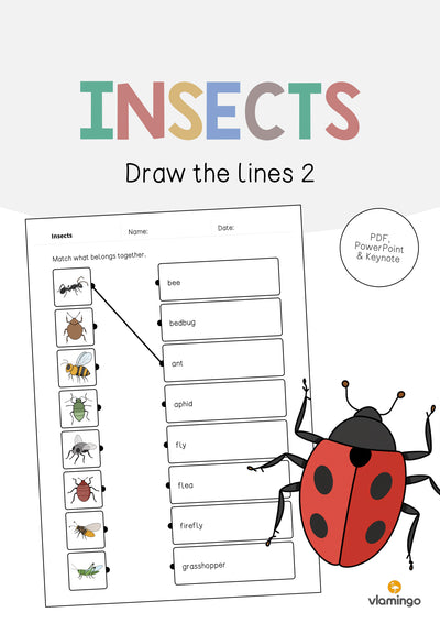 Insects / Insekten: Draw the lines 2 (Englisch)