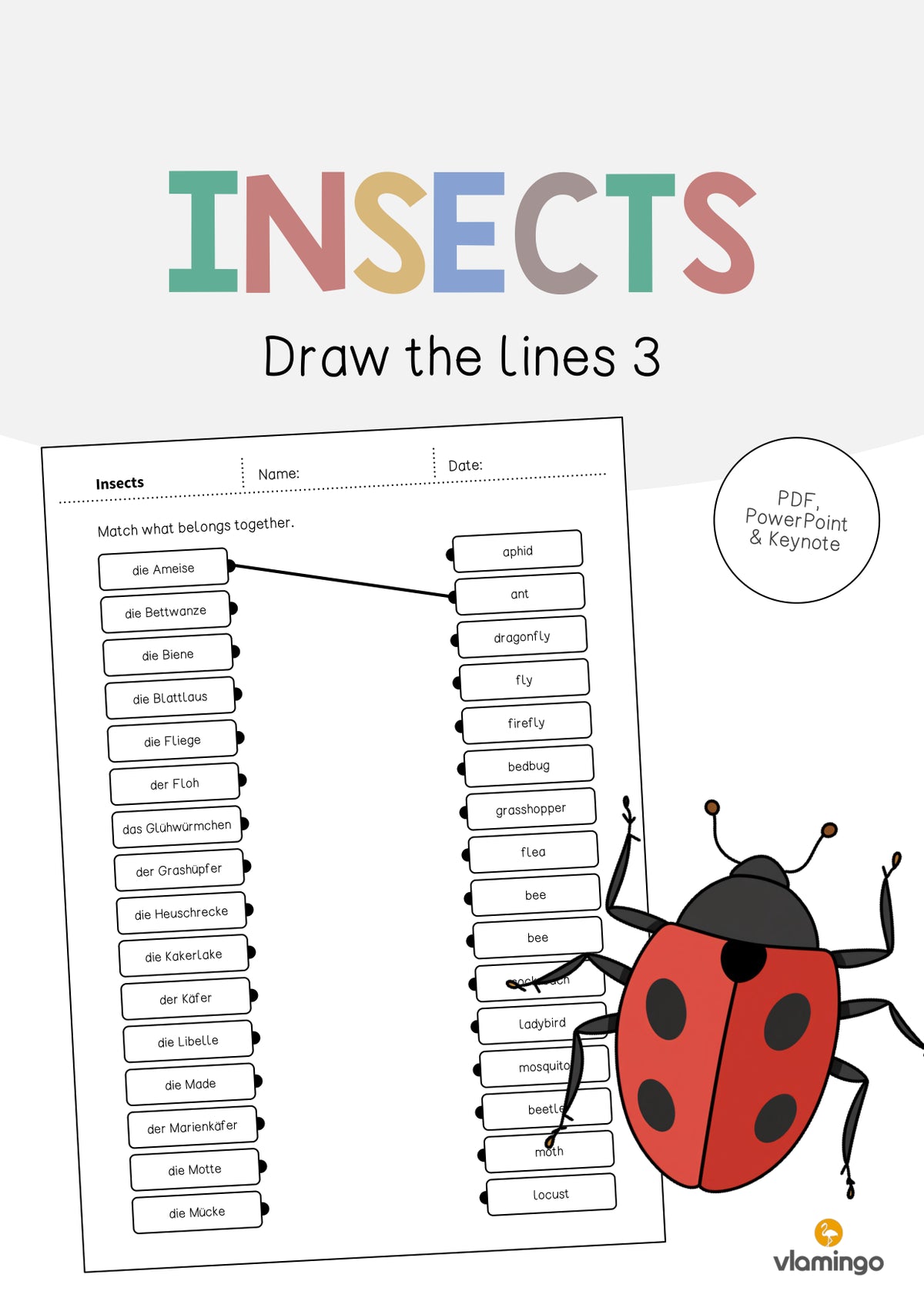 de englisch insects draw the lines 3 001
