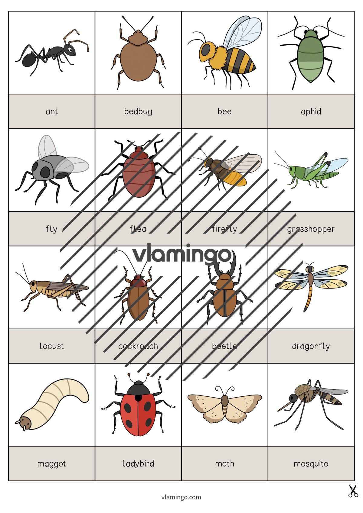 de englisch insects drawing game 003