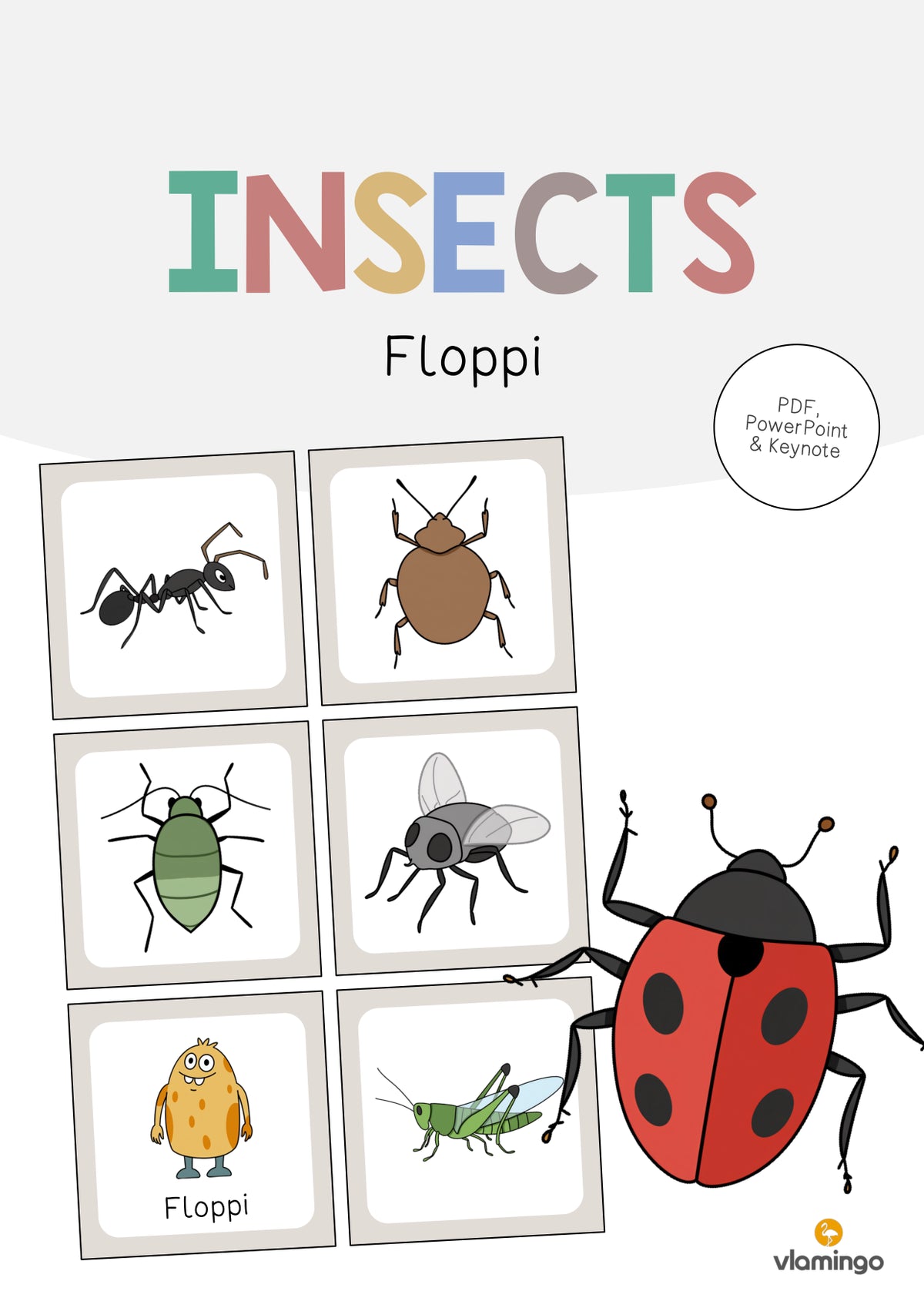 de englisch insects floppi 001