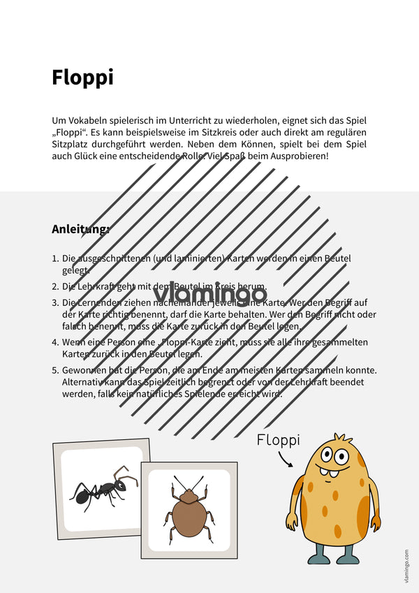 de englisch insects floppi 002