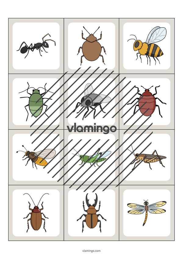 de englisch insects floppi 003