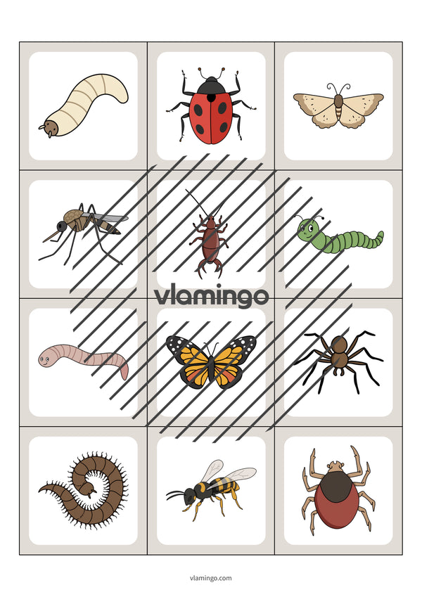 de englisch insects floppi 004