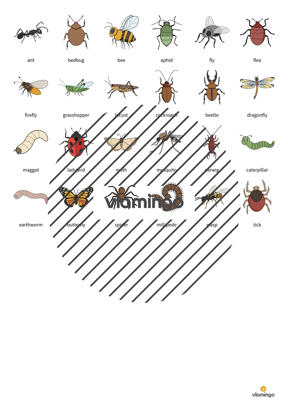 de englisch insects floppi 006