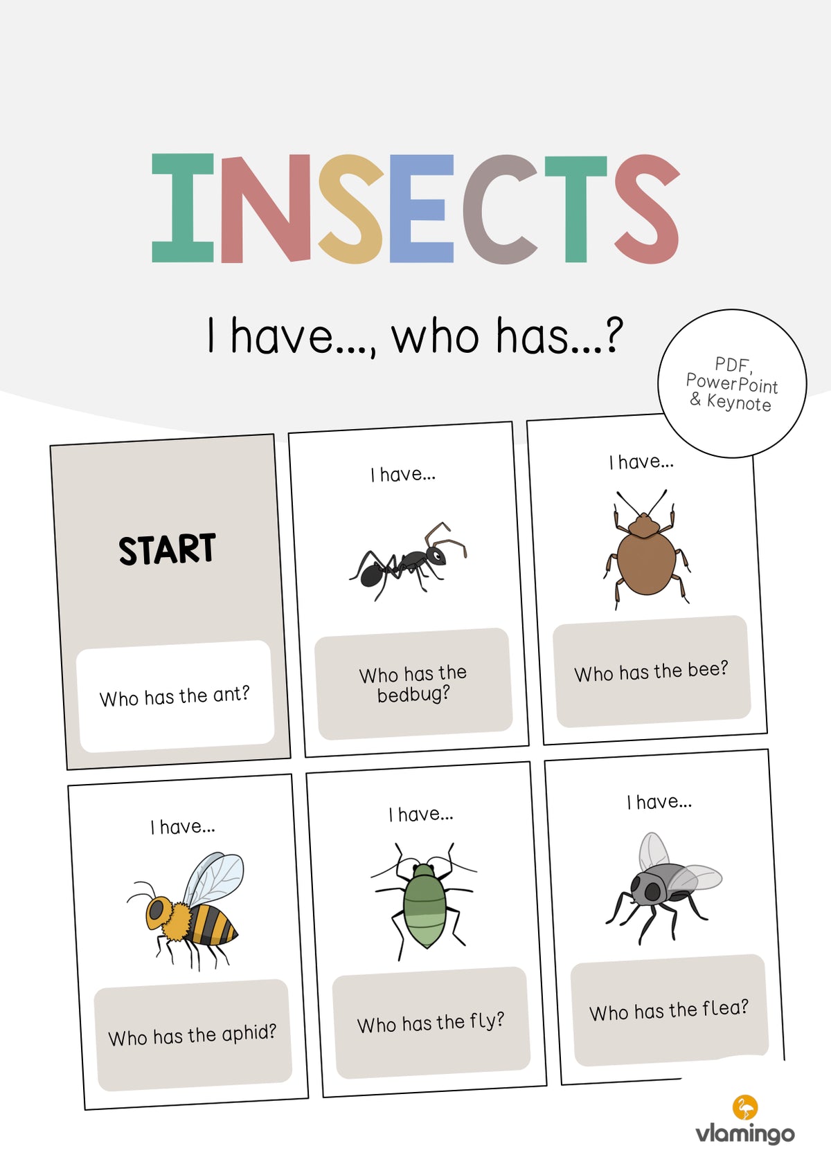 de englisch insects i have who has 001