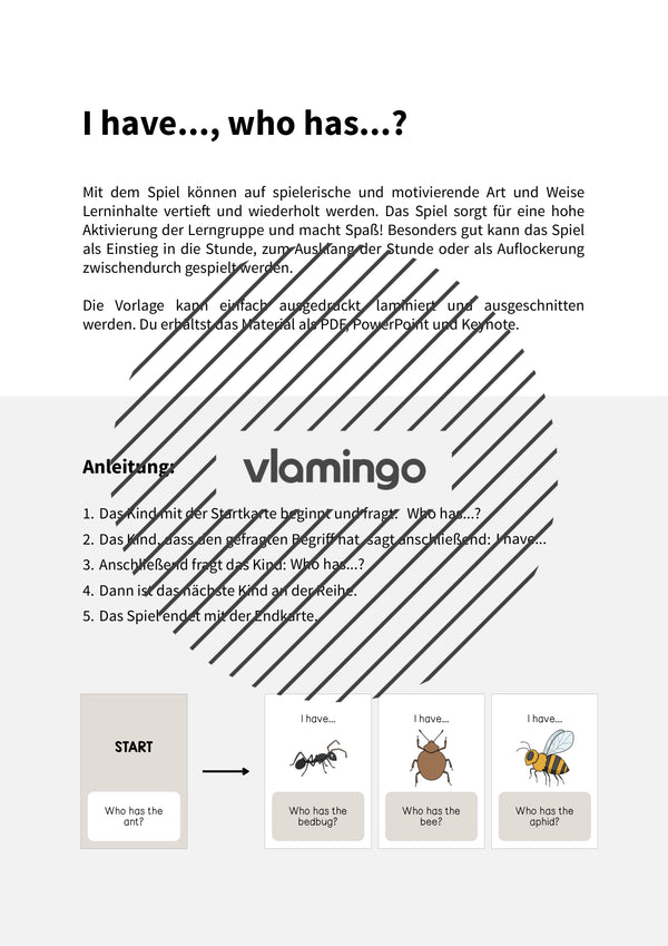 de englisch insects i have who has 002