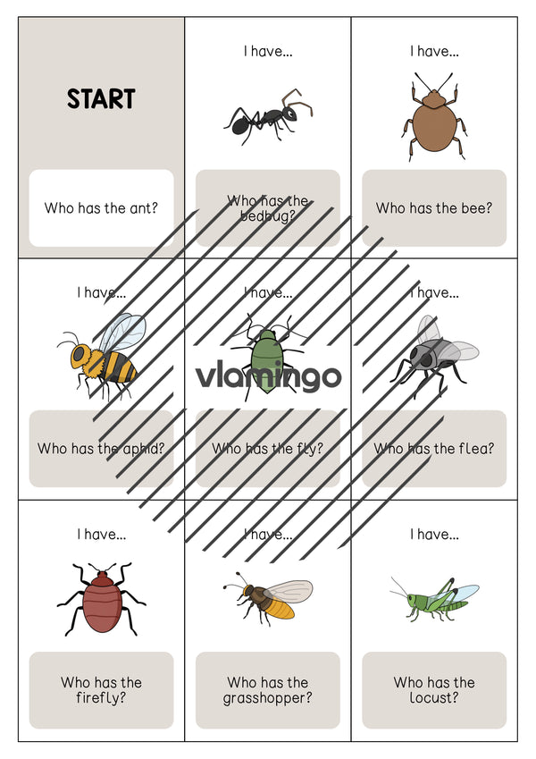 de englisch insects i have who has 003