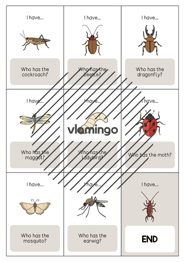 de englisch insects i have who has 004
