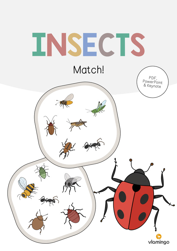 de englisch insects match 001
